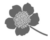 Boutique Blossom